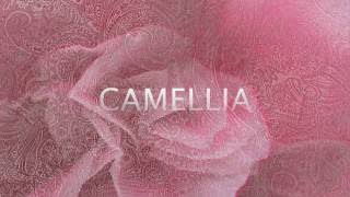 Camellia (Full Version) Steve Hunter