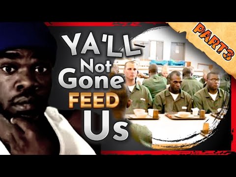 THEY DIDNT FEED US PT. 3