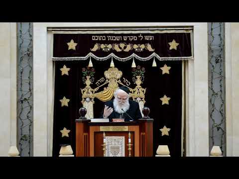 Shor Yoshuv - Divrei Hissoirerus
