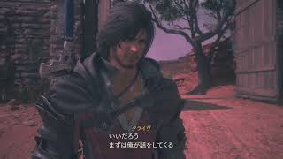 FF16-36(オートアイテム使用：強くてニューゲーム）