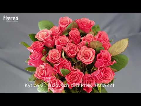 Kytice 21 růžových růží PINK TACAZZI