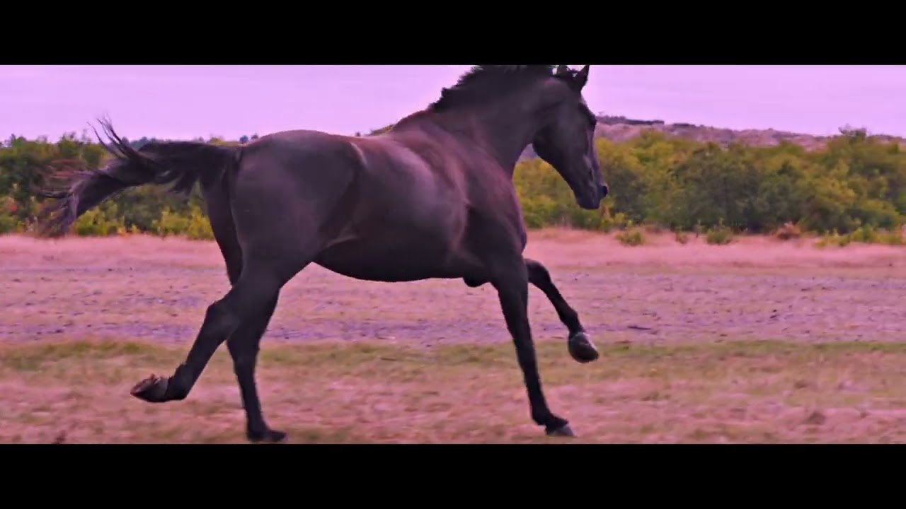 Placeholder from YouTube