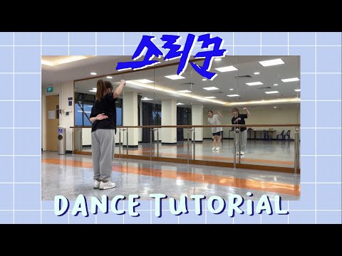 [DANCE TUTORIAL] STRAY KIDS (스트레이키즈) - THUNDEROUS (소리꾼) | Mirrored + Slow Music