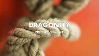 Siine - Thrill Of It feat. Frank Moody | 1 Hour Version