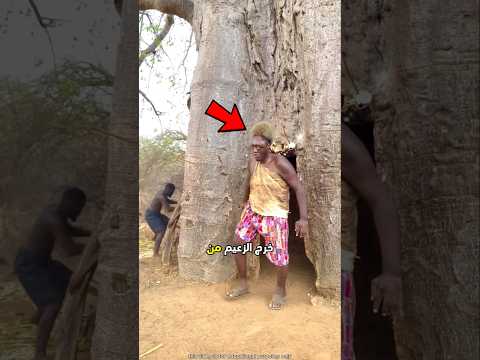 اعتقد الجميع أن زعيم القبيلة شجاع ولكن.. 😮 #shorts