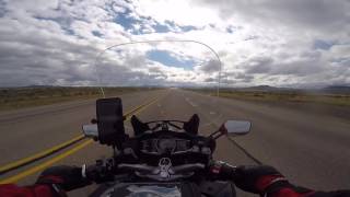 The Political Proctologist