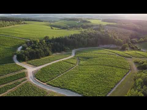 LES RICEYS CHAMPAGNE ||4K CINEMATIC