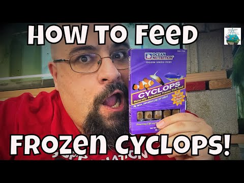 download lagu mp3 mp4 Cyclops Food, download lagu Cyclops Food gratis, unduh video klip Cyclops Food