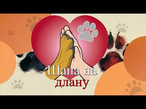 "Šapa na dlanu" 15.03.2025. - Dunav Televizija