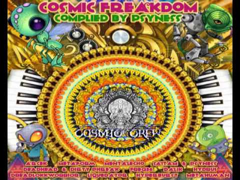 Dreadlokkwarrior - Electronic Zulu