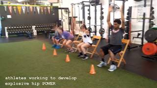 Seated Vertical Jumps