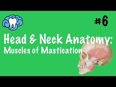 Head & Neck Anatomy | Muscles of Mastication | INBDE