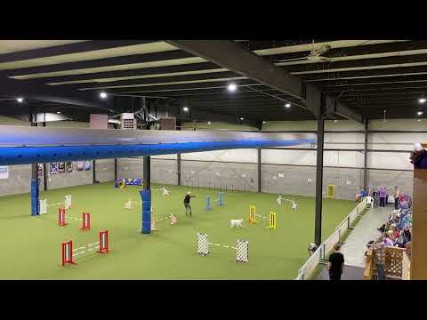 Premier JWW Mar 3 Onni