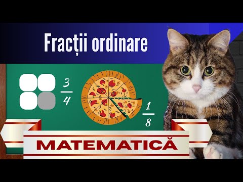 Numerele raționale - FRACȚII pe înțelesul elevilor | Clasa a 6-a