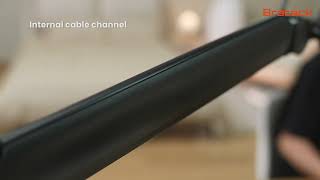 MDS13 1 features video