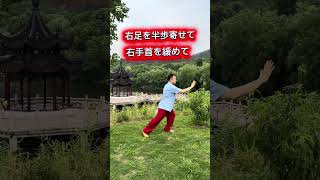 孫建明#china武術 #太極拳 #太極養生 #初心者向け #
