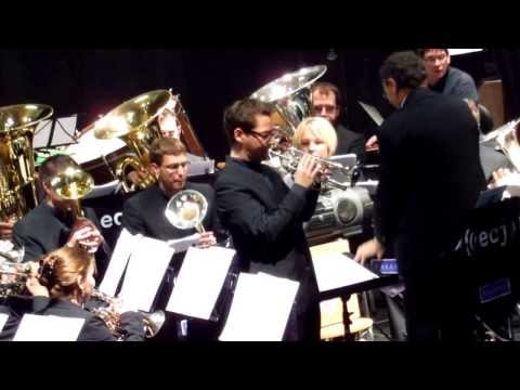 Fortune's Fool - Dominique Ribeaud