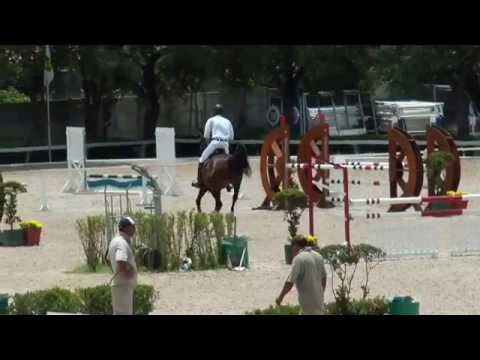 Kan Kan (Kannan x Douglas) - Cavalos Novos 4 anos - 1,10 m