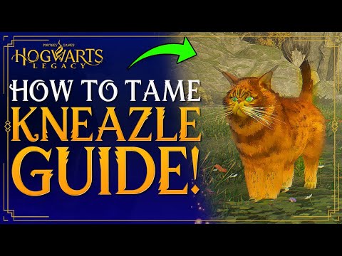 Hogwarts Legacy - How To Get KNEAZLE CAT - How To Tame / Catch Kneazle - Kneazle Den Location Guide