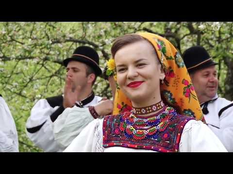Alina Tiution – Dragă mi-o fost cetera
