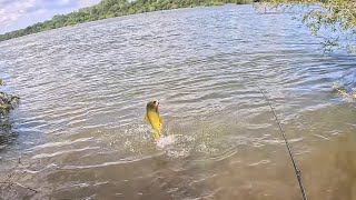 Dia 55. Pesca de dourados no Rio Uruguai e acampamento em uma ilha incrível.