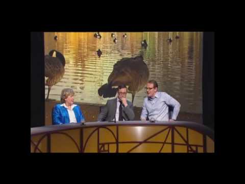 QI: What use is a goose?