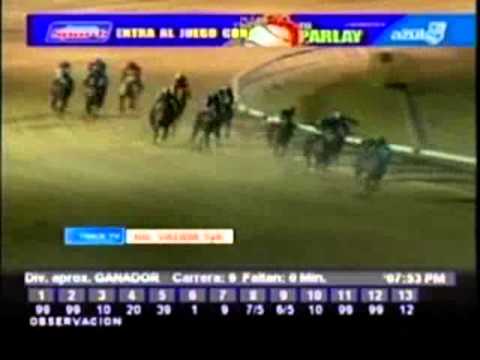 Resumen Jueves, 17 de Enero de 2013 - Valencia