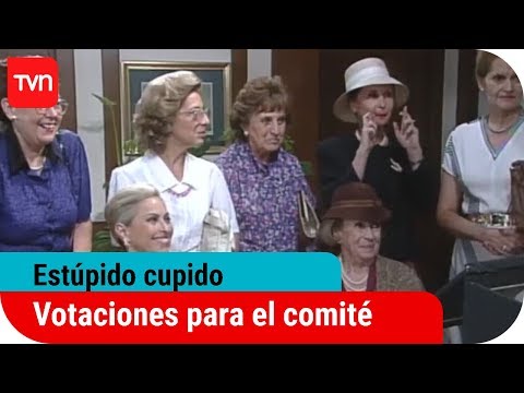¿Luz o Carlota? Votaciones para el comité | Estúpido cupido - T1E32