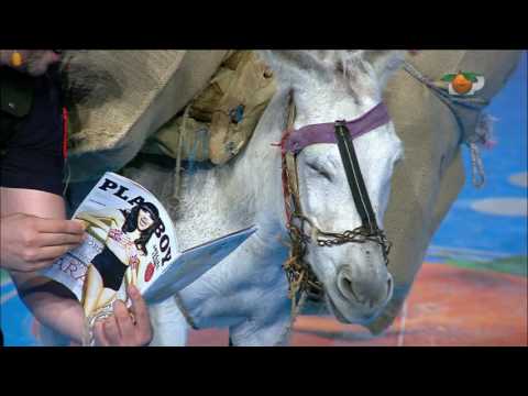 Portokalli, 29 Maj 2016 - Policat e Postbllokut (Gomari trafikant)