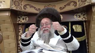 "וַנְּהִי בְעֵינֵינוּ כַּחֲגָבִים וְכֵן הָיִינוּ בְּעֵינֵיהֶם" • שיחה מהרה"צ ר' יצחק לעזער שליט"א