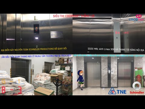 2 Schindler 5500 MRL And (Generic) Thien Nam Freight Elevator @ Coopmart Thắng Lợi, HCMC, VN