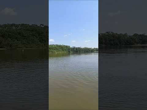 Rio Tocantins [ São Pedro da Água Branca Maranhão