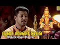 ദൂരെ അങ്ങ് ദൂരെ Ayyappa Devotional Song Jyothi Sung By Madhu Balakrishnan 
