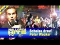 Peter Wackel - Scheiss drauf! Malle ist nur einmal ...