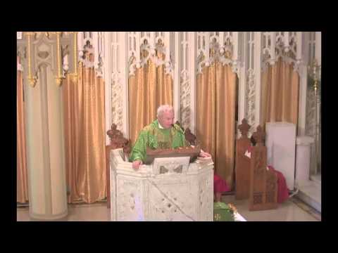 06 de julio 2014 el Evangelio según San Mateo 11:25 30