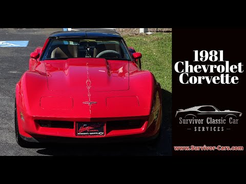 1981 Chevrolet Corvette (CC-1654859) for sale in Palmetto, Florida