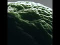 Lime Basil & Mandarin Classic Candle video image 0