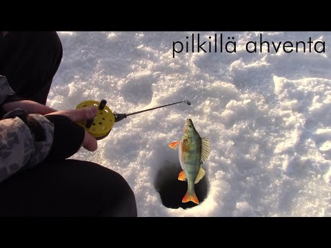 Pilkillä Ahventa 8.3.2021