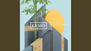 Cover art for The little things (Kasbo Remix)