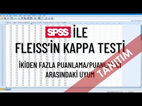 PROMOTION - Fleiss's Kappa Test | More Than Two Ratings or Agreement Between Raters