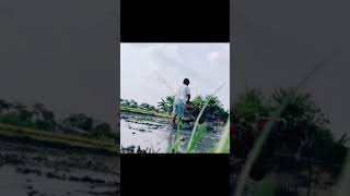 Download lagu Aku Cah Bakoh _ Story WA 30 Detik #akucahbakoh #storywa30detik mp3 Download lagu Aku Cah Bakoh _ Story WA 30 Detik #akucahbakoh #storywa30detik mp3