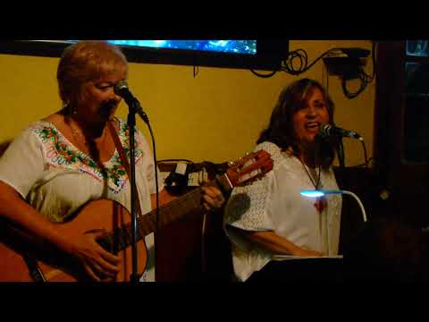 AMAS EN VIVO- EL GATO FLORO