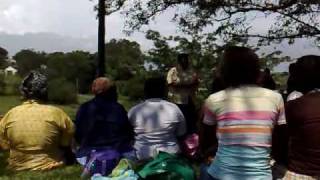 preview picture of video 'Be More - Tree Clinic in Durban, South Africa'