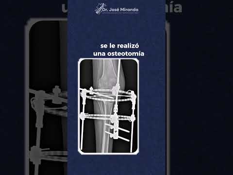 José Miranda-6