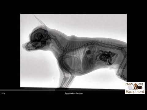 Veterinary Fluoroscopy - Watch the Swallow!