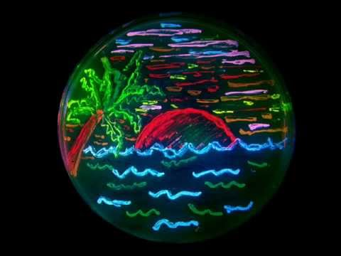 Remix(DJ BluesKyecXiting) Armin van Buuren - Feels So Good.wmv