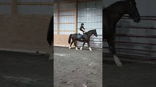 Cheery Acres April 2023 - Walk/Trot #16 Brandi Sturdivant & Kupid Shuffle