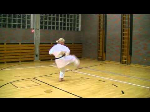 Kata Lexikon - Heian Sandan - langsam