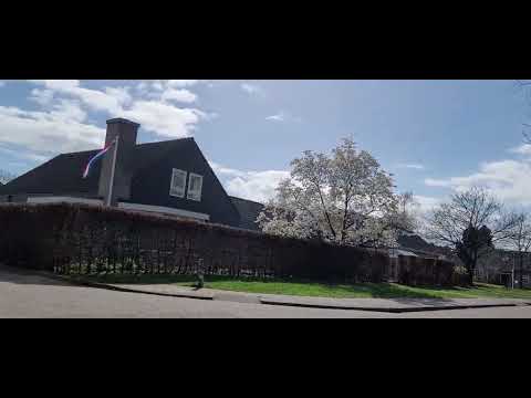 Met de fiets door Berkum, een wijk van Zwolle.