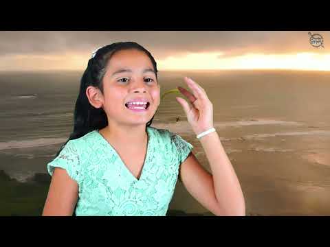 Mi corazón lo sabe bien - Loyda Olmeda (Version) Wandy Eyelit